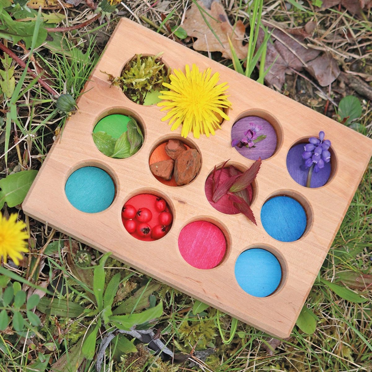 Grimm's Sorting Board Rainbow | | Grimm's Spiel and Holz | Little Acorn to Mighty Oaks