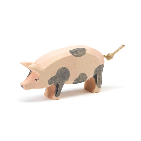 Ostheimer Spotted Pig - Head High