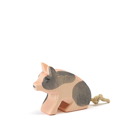 Ostheimer Piglet - spotted sitting