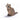 Ostheimer Raccoon - Sitting | | Ostheimer | Little Acorn to Mighty Oaks