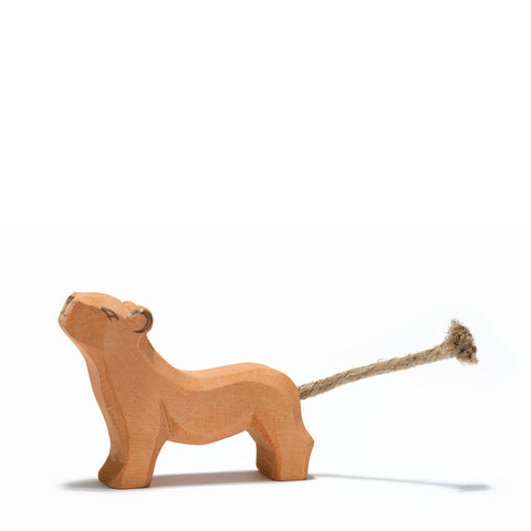 Ostheimer Lion Small Head High