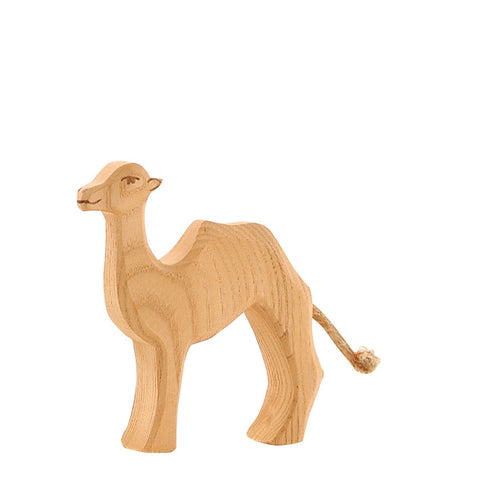 Ostheimer Camel - Small