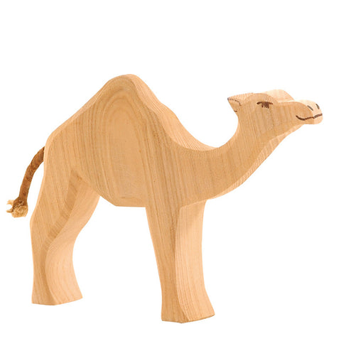 Ostheimer Dromedary