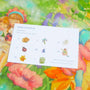 Sarah's Silks - Seek and Find Silks - Fairyland 21 x 26 inch | | Sarah's Silks | Little Acorn to Mighty Oaks