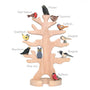 Ostheimer Blue Owl | | Ostheimer | Little Acorn to Mighty Oaks