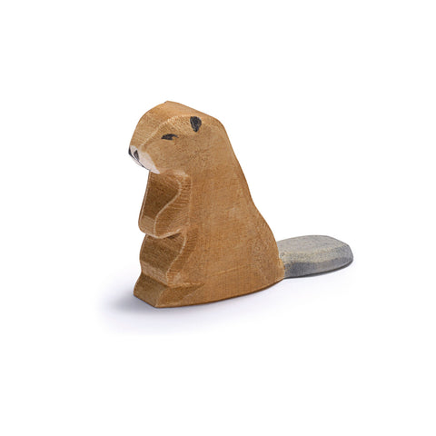 Ostheimer Beaver sitting