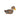 Holztiger Brown Duck | | Holztiger | Little Acorn to Mighty Oaks