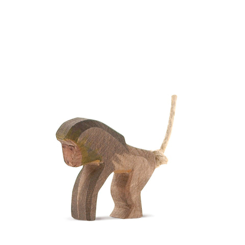 Ostheimer Baboon standing