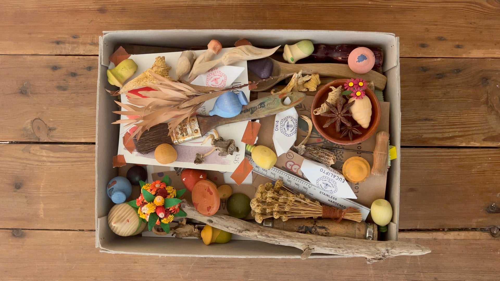 Grapat Kids Only Collection 2026