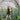 Toverlux Spring