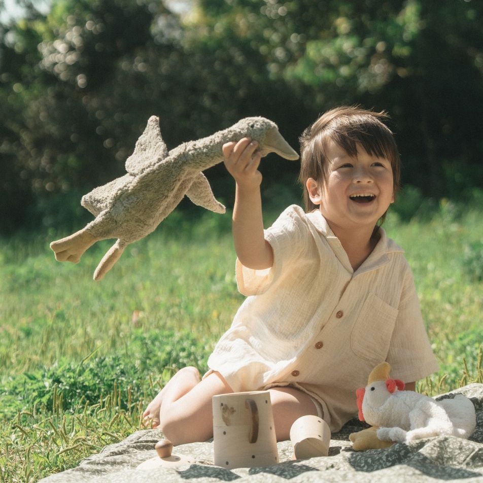 Senger Naturwelt - Organic Cuddly Animal - Grey Goose | Small | | Senger Naturwelt | Little Acorn to Mighty Oaks