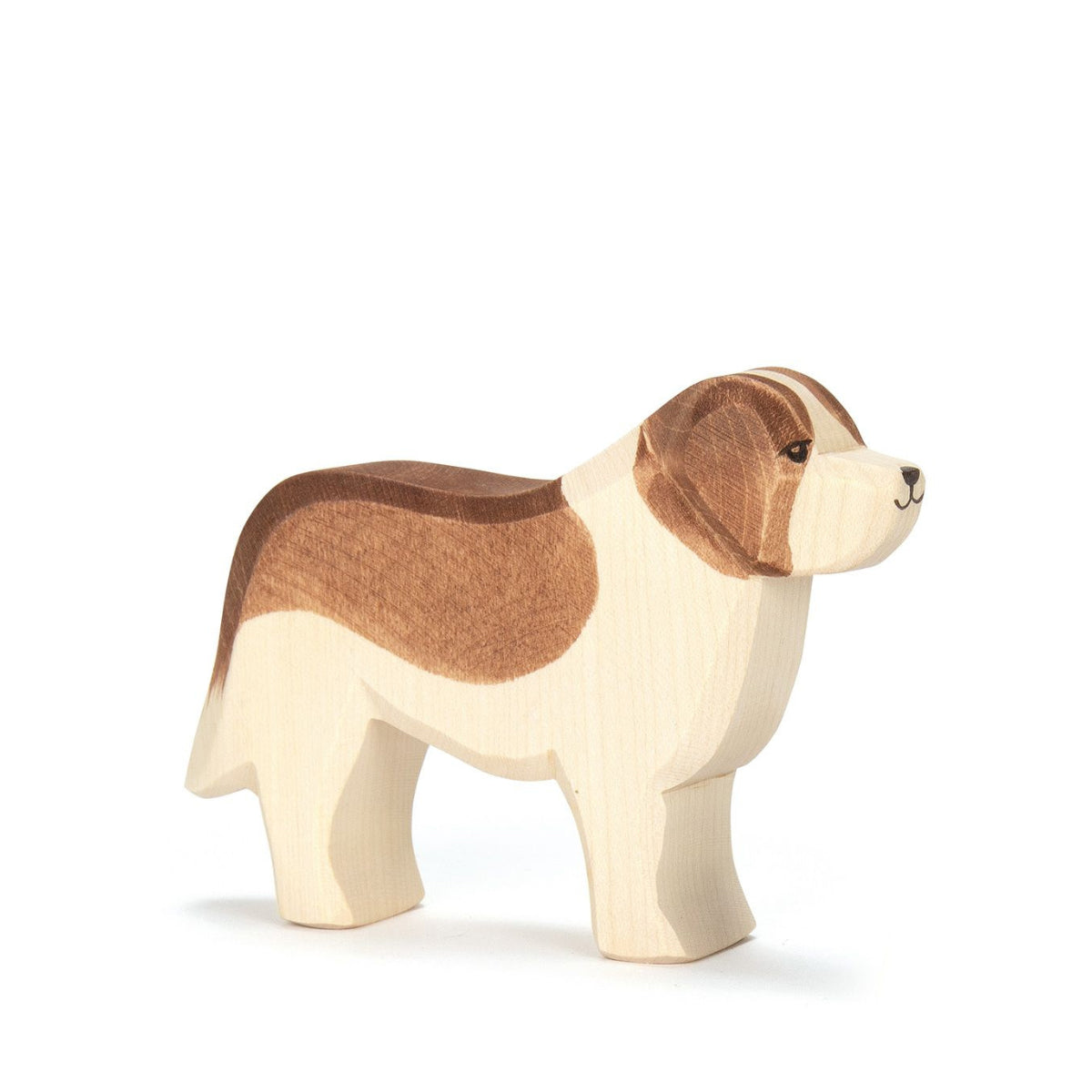 Ostheimer St Bernard | | Ostheimer | Little Acorn to Mighty Oaks