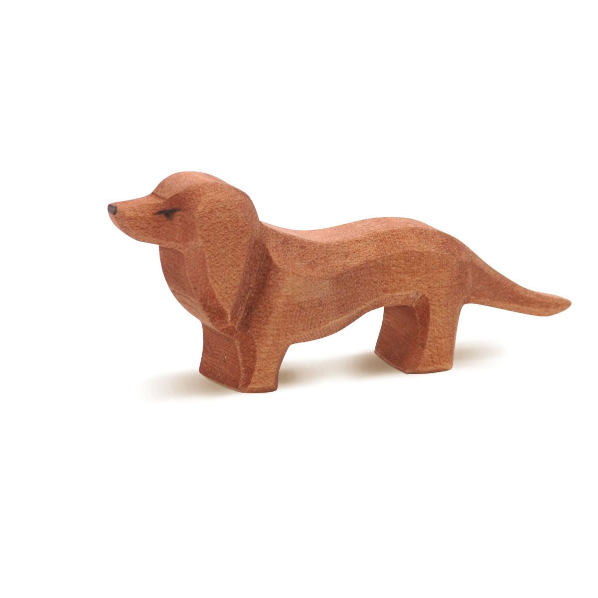 Ostheimer Dachshund | | Ostheimer | Little Acorn to Mighty Oaks