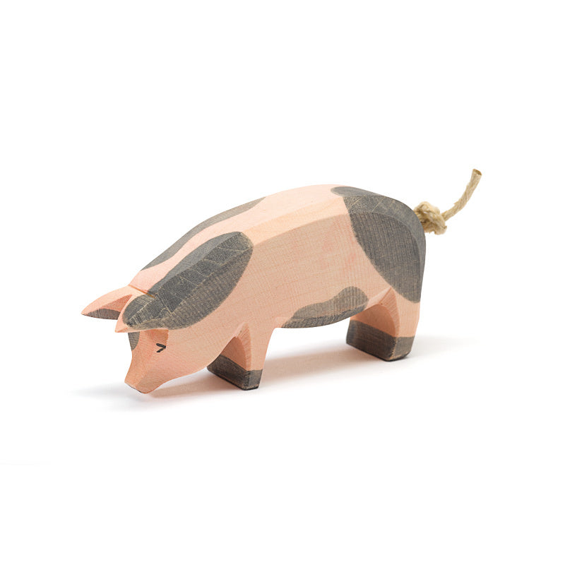 Ostheimer Spotted Pig - Head Low | | Ostheimer | Little Acorn to Mighty Oaks