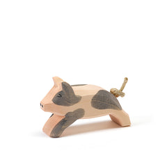 Ostheimer Spotted Piglet Running