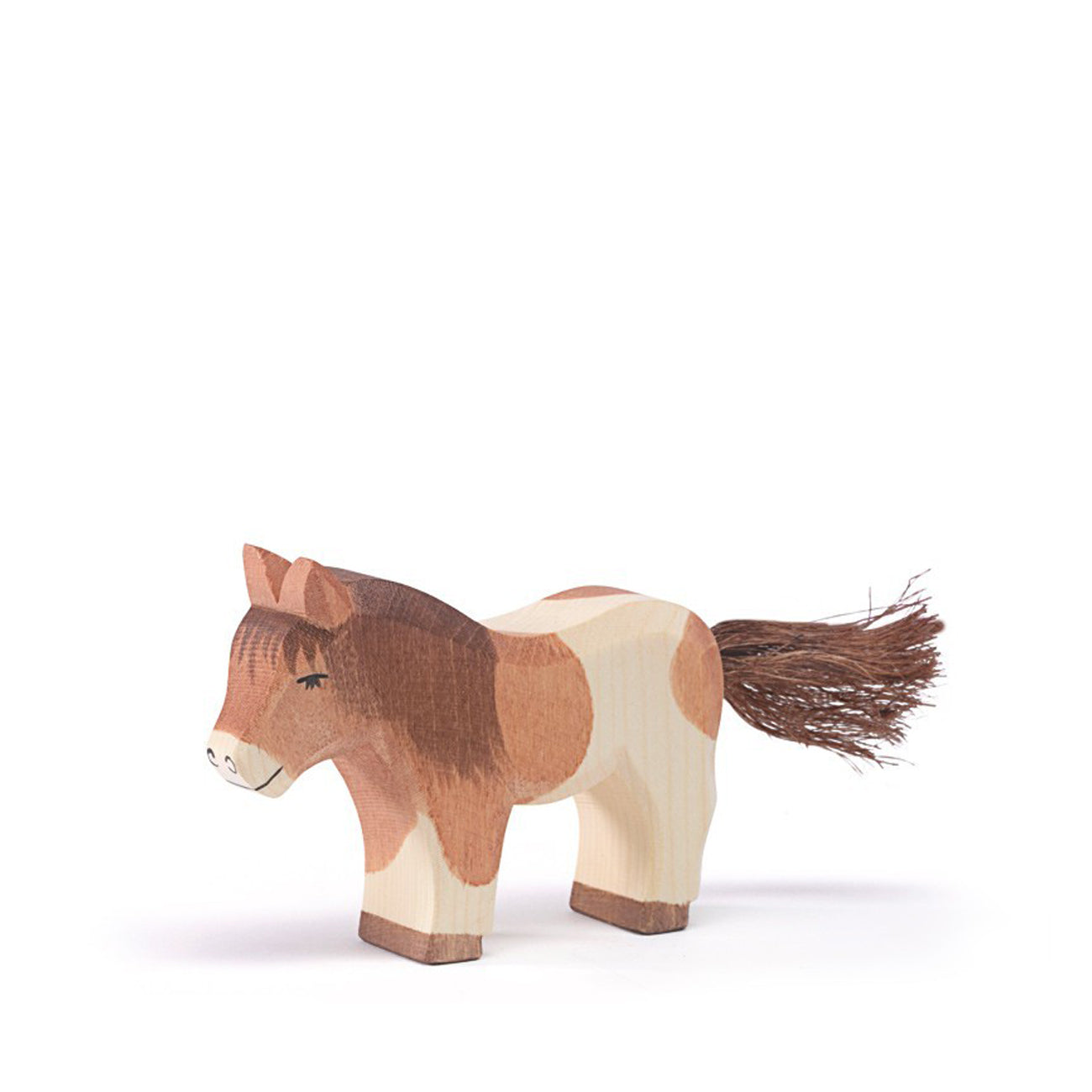 Ostheimer Shetland Pony standing | | Ostheimer | Little Acorn to Mighty Oaks