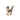 Ostheimer Small Cat - Head Up | | Ostheimer | Little Acorn to Mighty Oaks