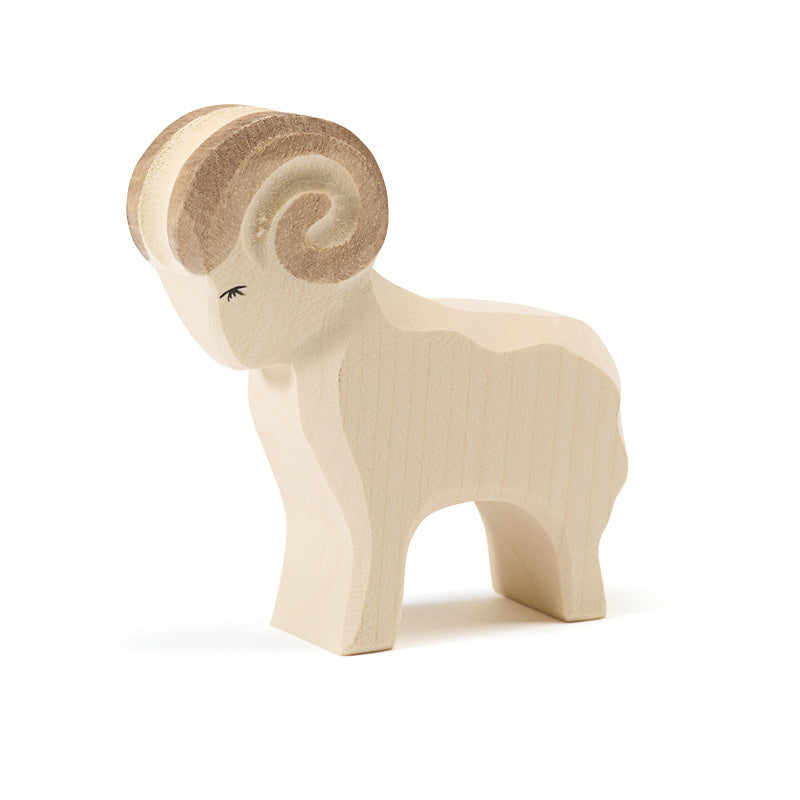 Ostheimer White Ram | | Ostheimer | Little Acorn to Mighty Oaks