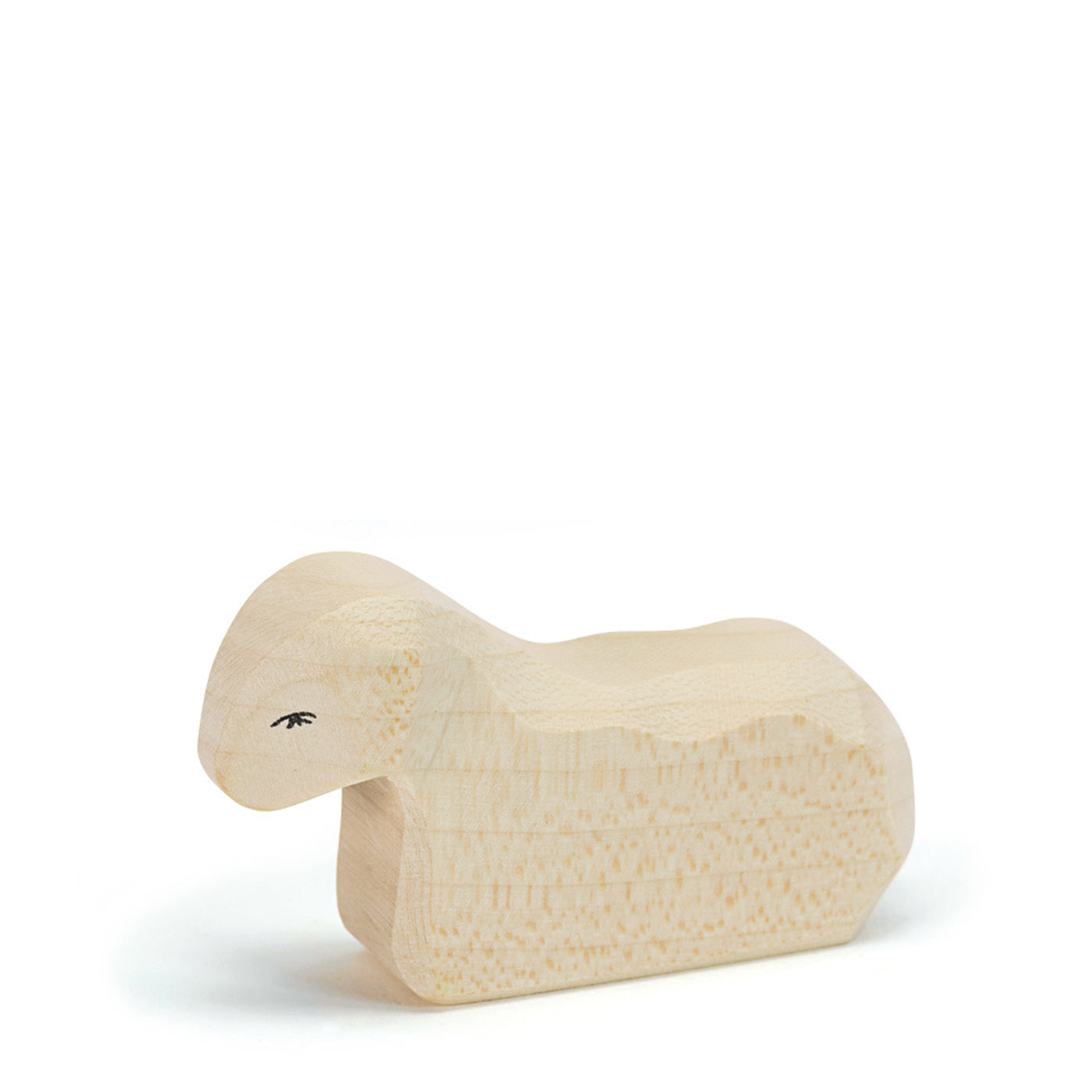 Ostheimer White Lamb Resting | | Ostheimer | Little Acorn to Mighty Oaks