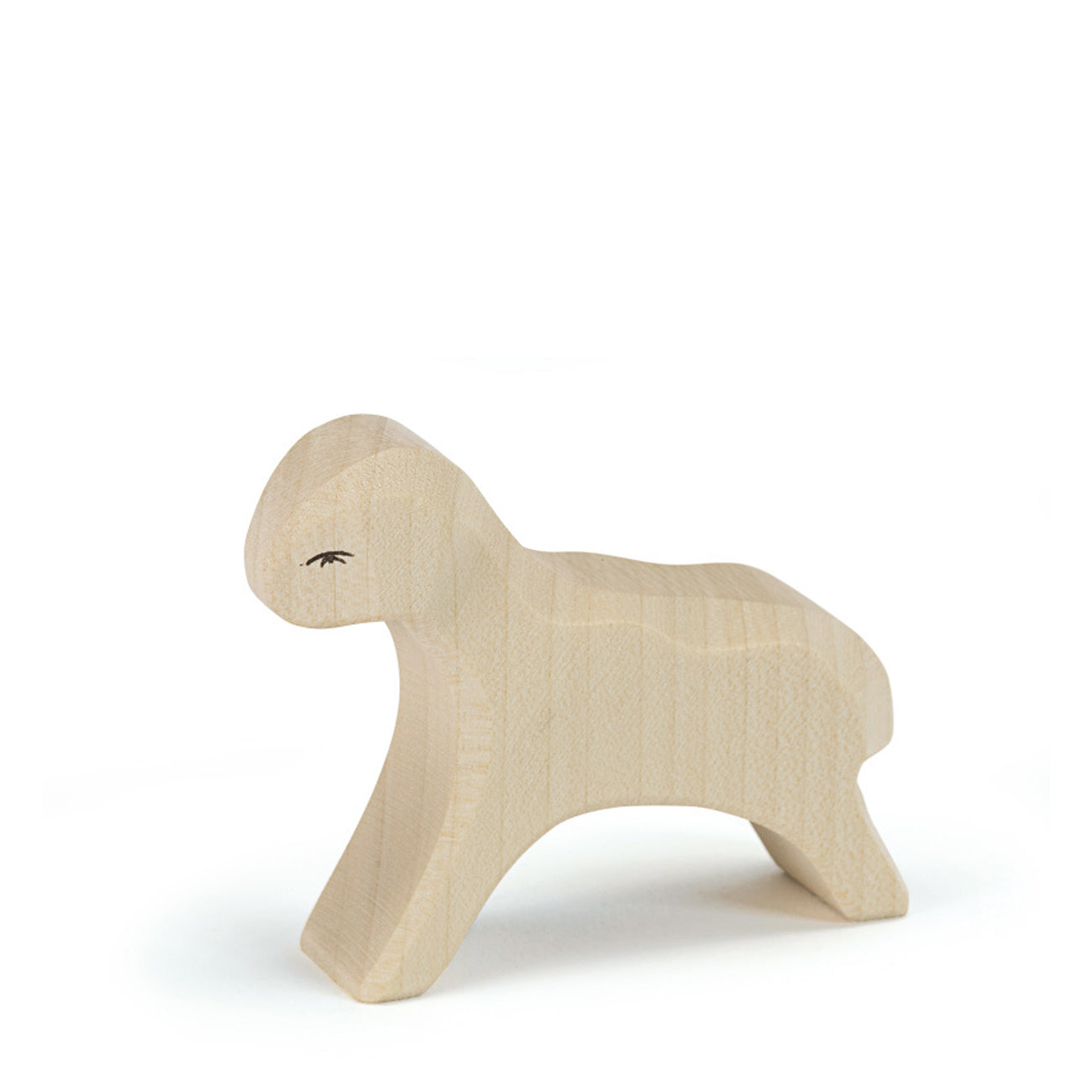 Ostheimer White Lamb Running | | Ostheimer | Little Acorn to Mighty Oaks