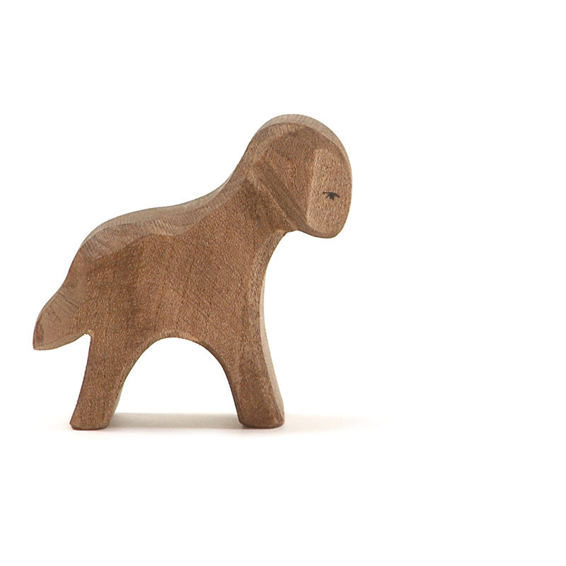 Ostheimer Brown Lamb Standing | | Ostheimer | Little Acorn to Mighty Oaks