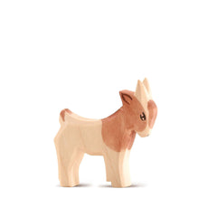 Ostheimer Kid standing