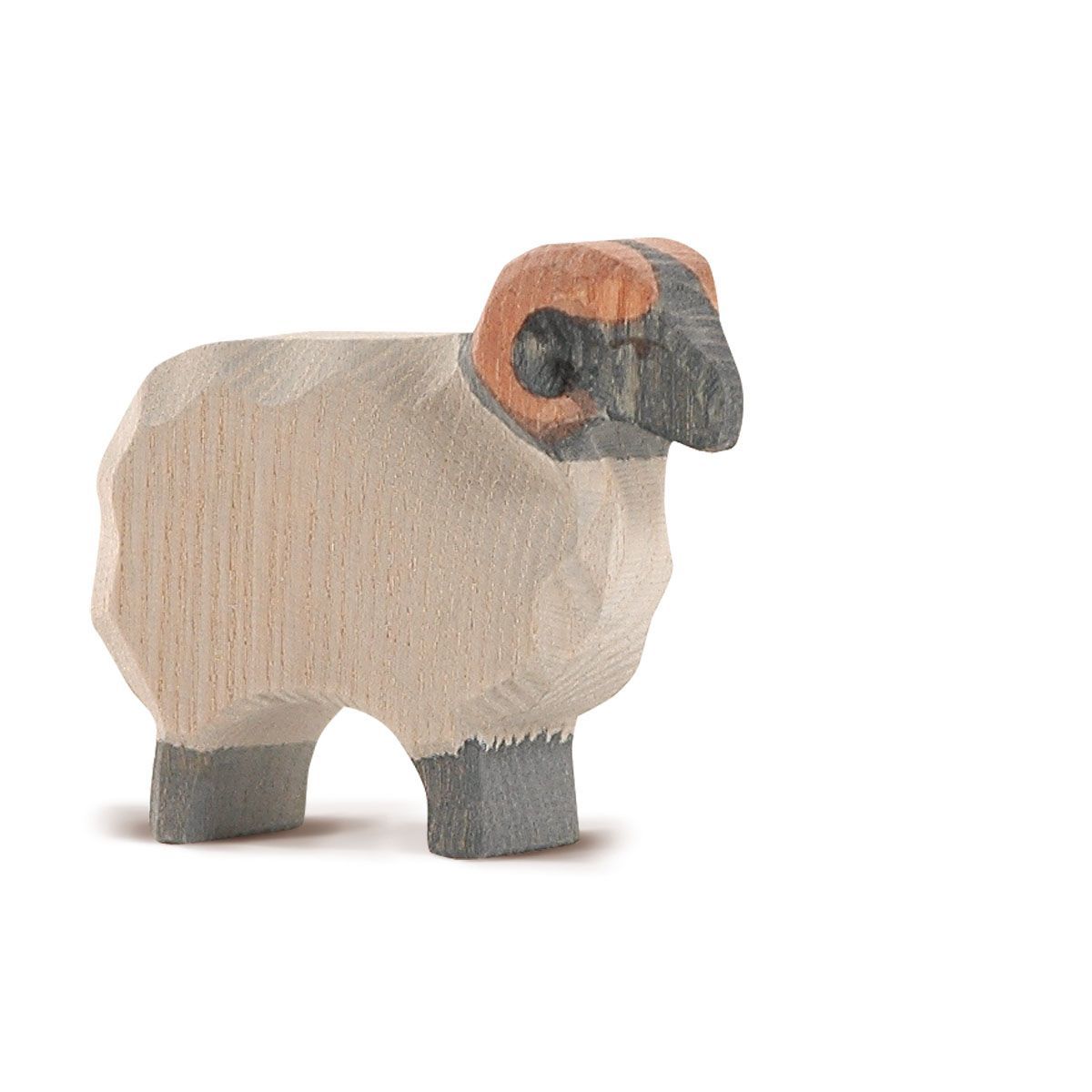 Ostheimer Moorland Ram | | Ostheimer | Little Acorn to Mighty Oaks