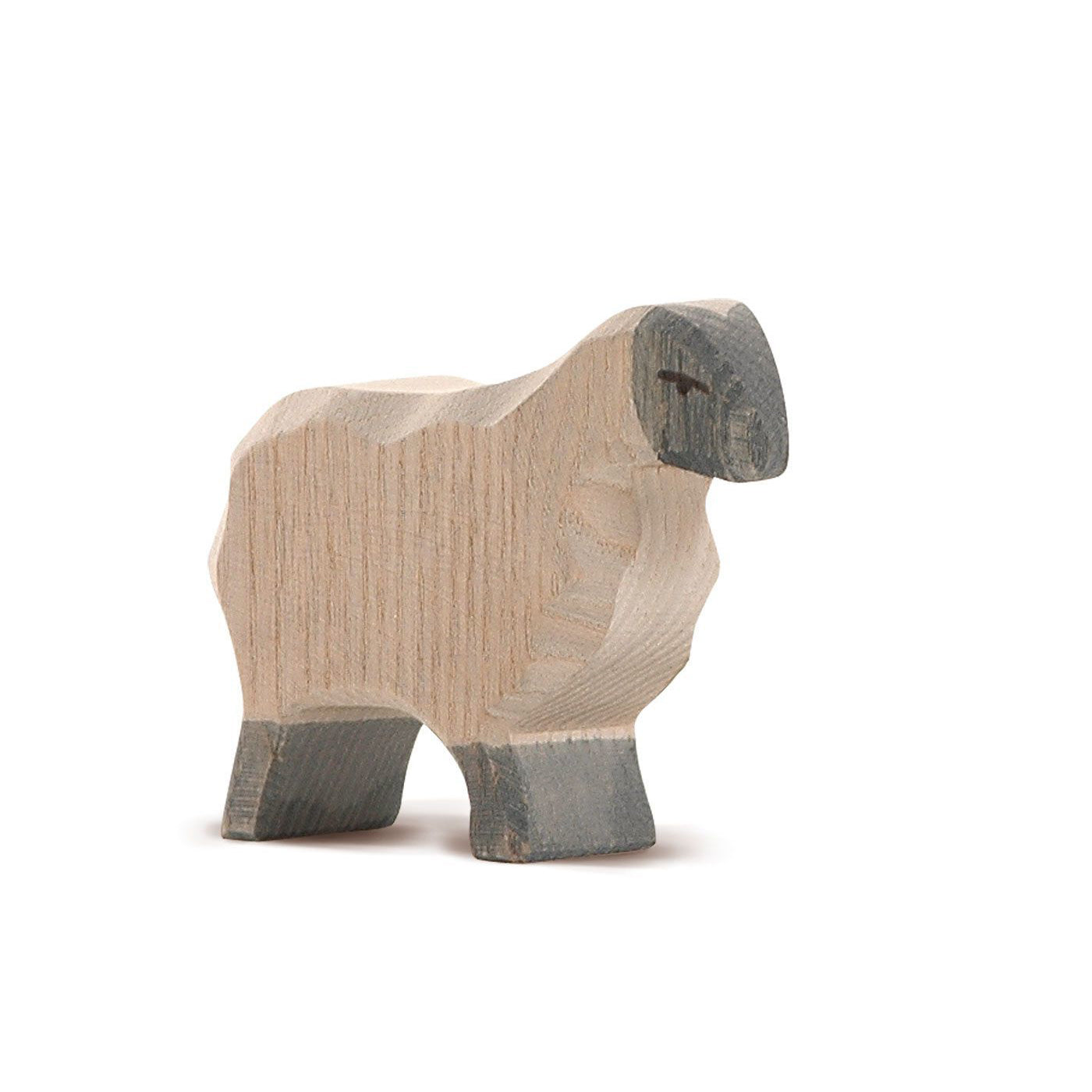 Ostheimer Moorland Sheep | | Ostheimer | Little Acorn to Mighty Oaks