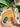 Yellow Door Let’s Roll – Dinosaurs Stone Rollers | | Yellow Door | Little Acorn to Mighty Oaks