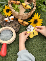 Yellow Door Sensory Play Stones - Butterflies | | Yellow Door | Little Acorn to Mighty Oaks