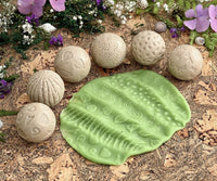 Yellow Door Roll Around – Nature Stone Balls | | Yellow Door | Little Acorn to Mighty Oaks