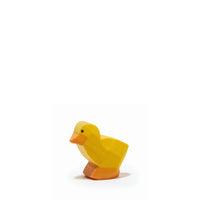 Ostheimer Light Chick | | Ostheimer | Little Acorn to Mighty Oaks