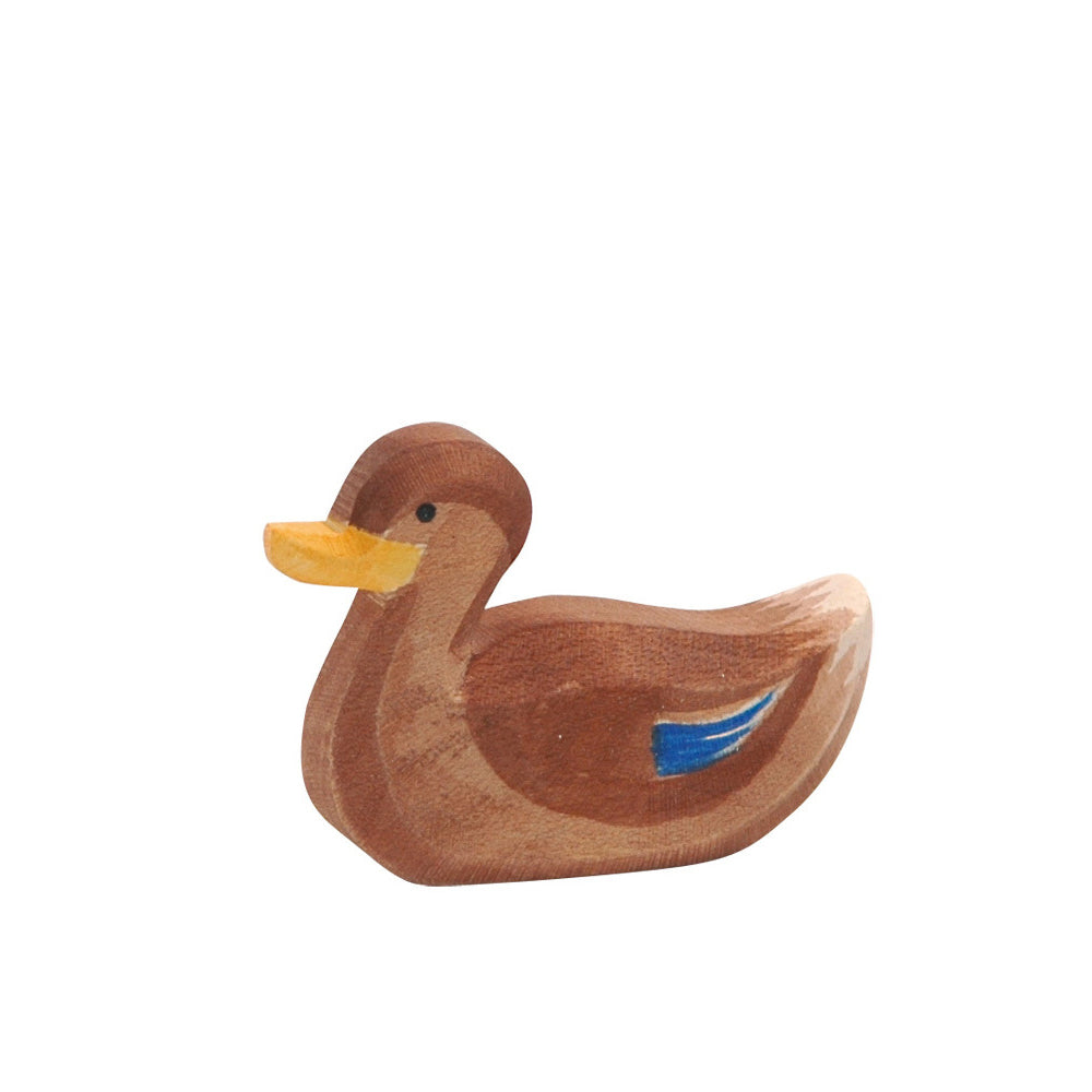 Ostheimer Duck - Swimming | | Ostheimer | Little Acorn to Mighty Oaks