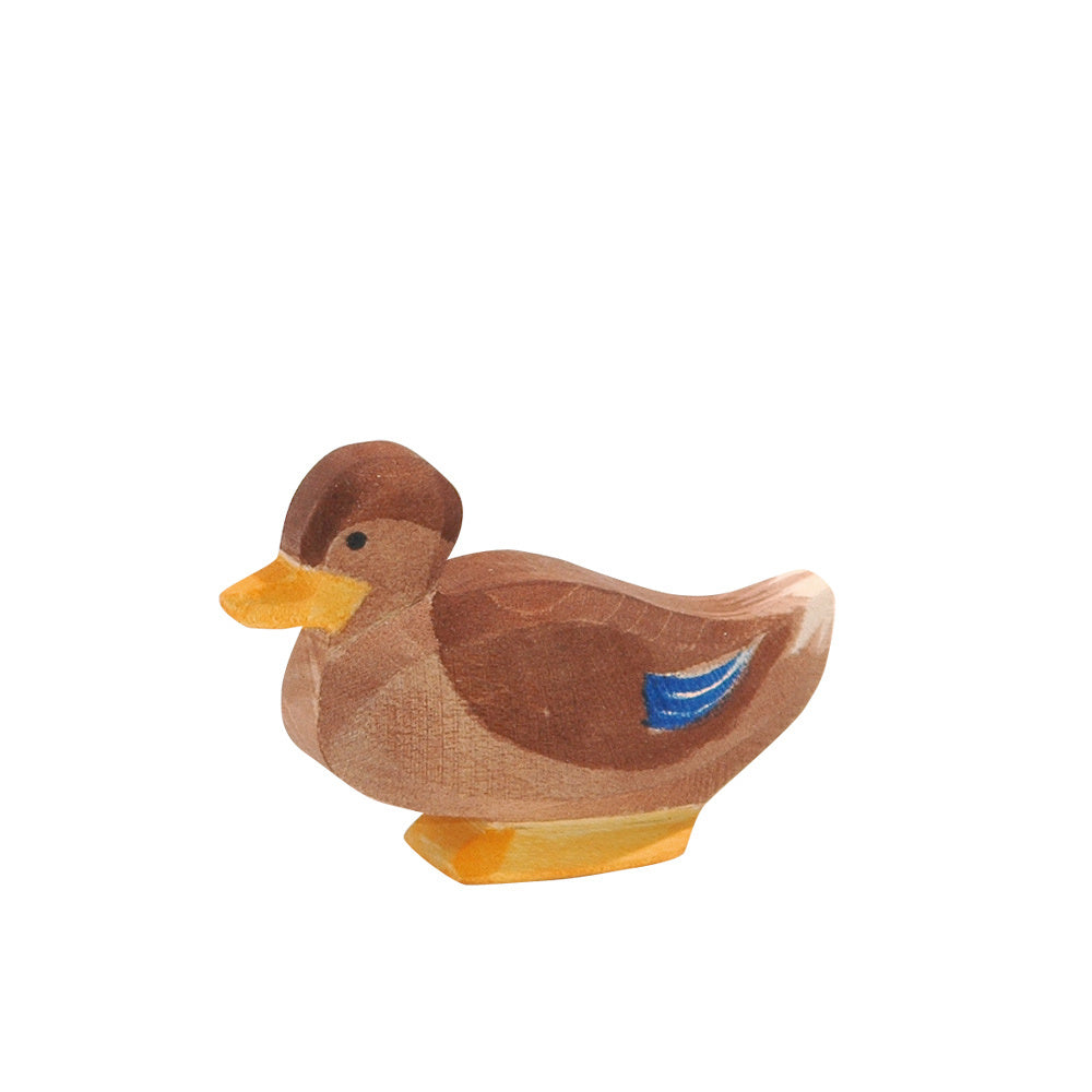 Ostheimer Duck - Sitting | | Ostheimer | Little Acorn to Mighty Oaks