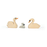 Ostheimer New Swan | | Ostheimer | Little Acorn to Mighty Oaks
