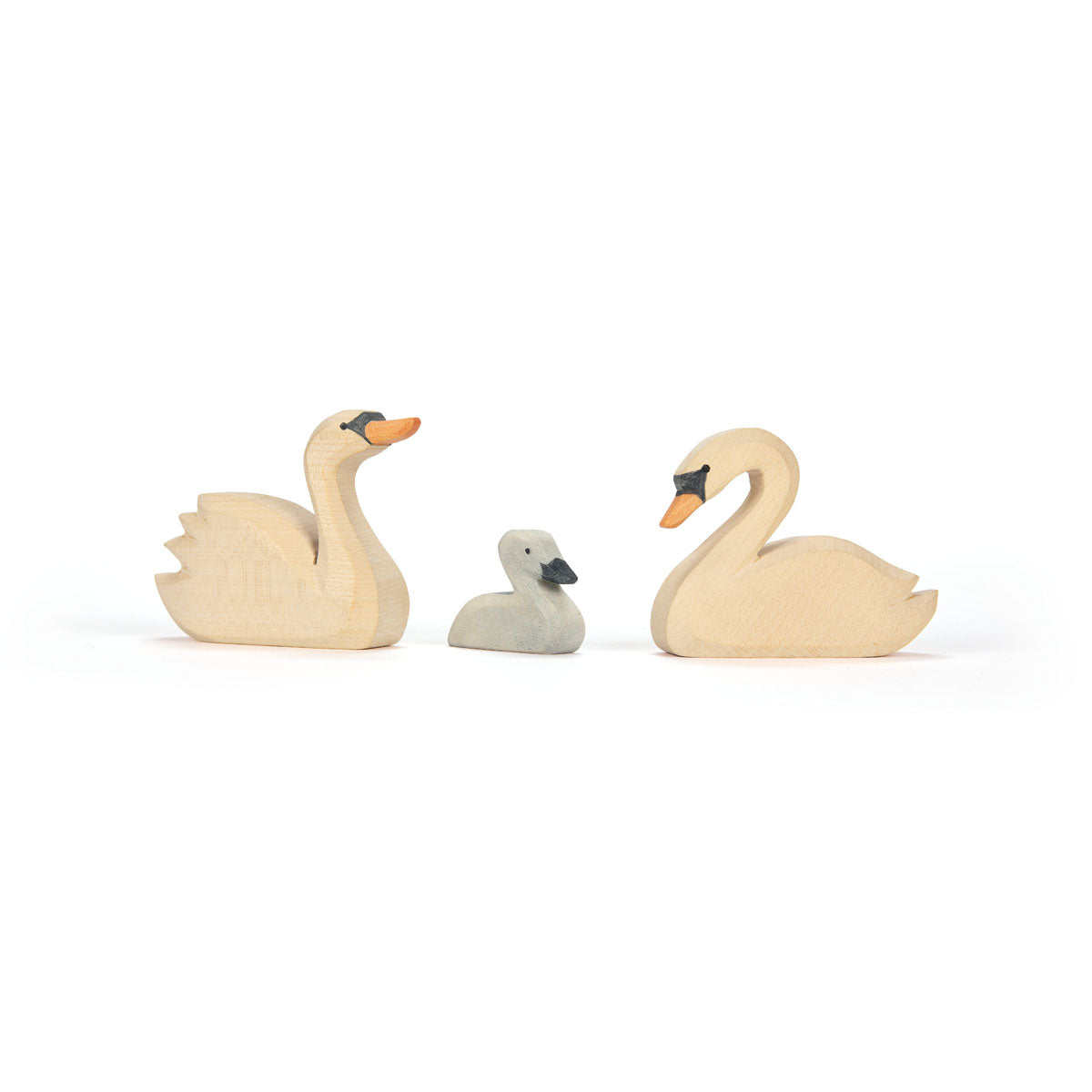 Ostheimer New Swan | | Ostheimer | Little Acorn to Mighty Oaks