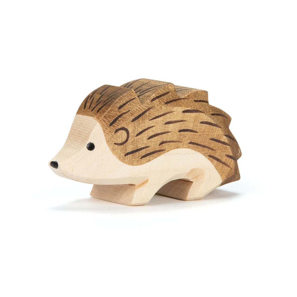 Ostheimer Hedgehog | | Ostheimer | Little Acorn to Mighty Oaks