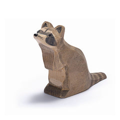 Ostheimer Raccoon - Sitting