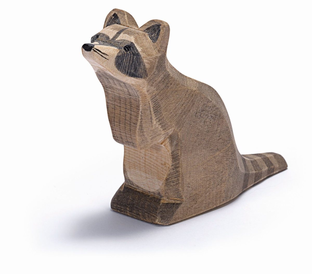 Ostheimer Raccoon - Sitting | | Ostheimer | Little Acorn to Mighty Oaks