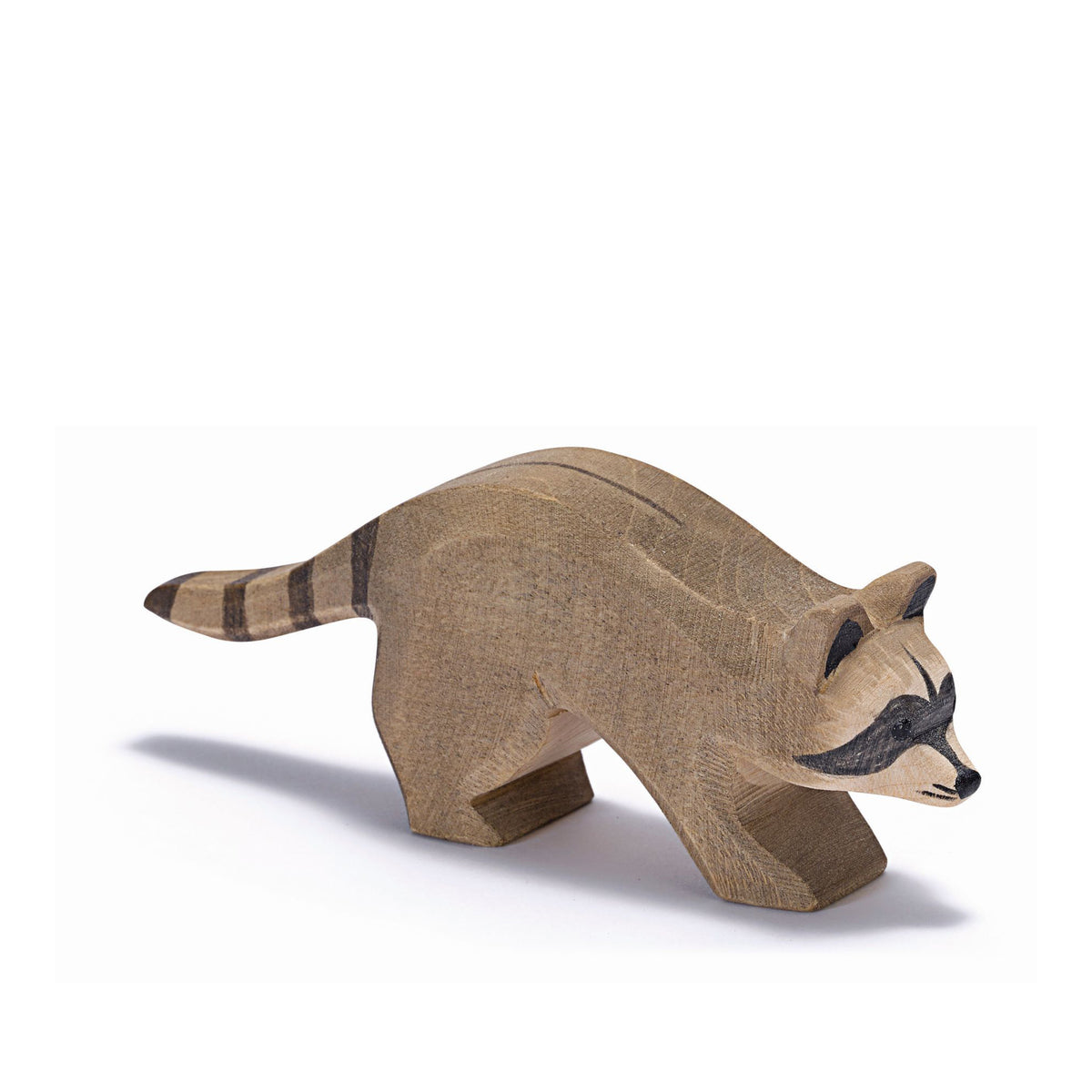 Ostheimer Raccoon Running | | Ostheimer | Little Acorn to Mighty Oaks