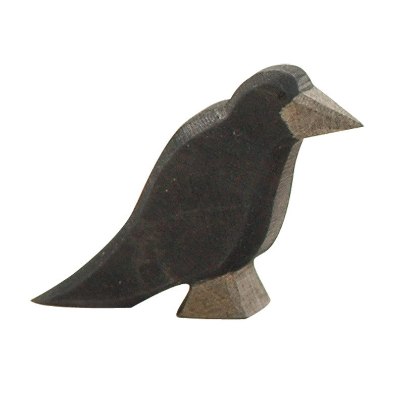 Ostheimer Raven | | Ostheimer | Little Acorn to Mighty Oaks