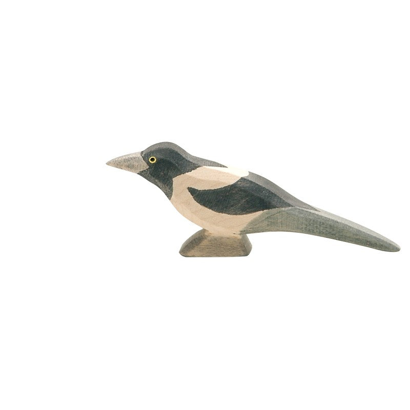 Ostheimer Magpie | | Ostheimer | Little Acorn to Mighty Oaks