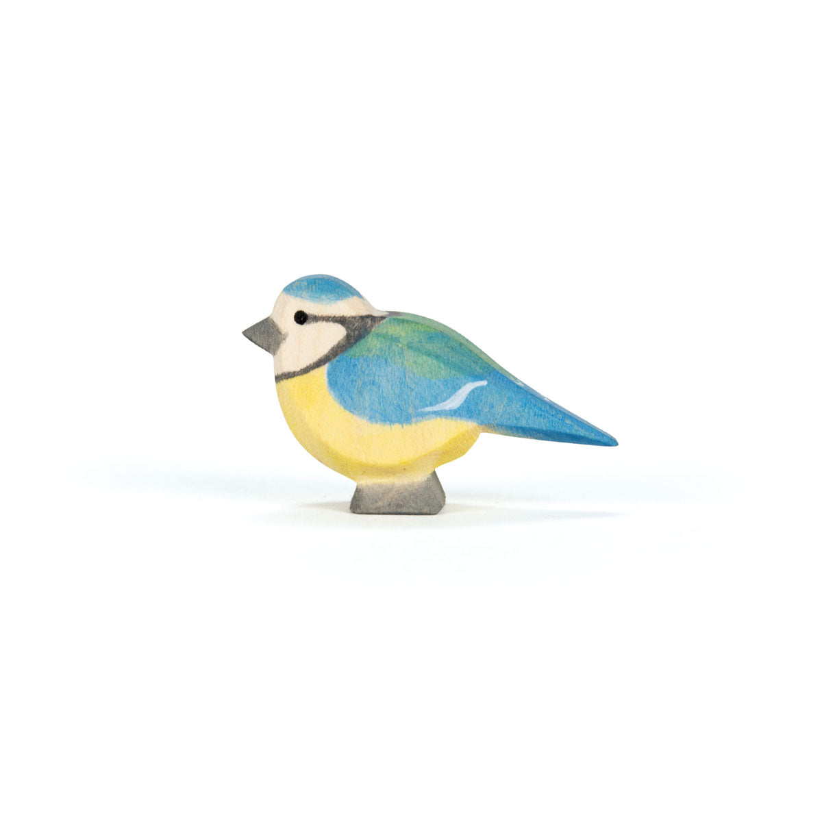 Ostheimer Blue tit | | Ostheimer | Little Acorn to Mighty Oaks