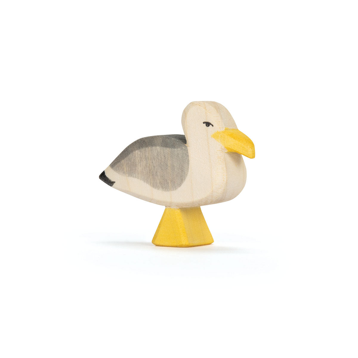 Ostheimer Seagull | | Ostheimer | Little Acorn to Mighty Oaks