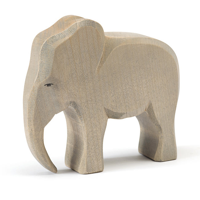 Ostheimer Elephant Bull | | Ostheimer | Little Acorn to Mighty Oaks