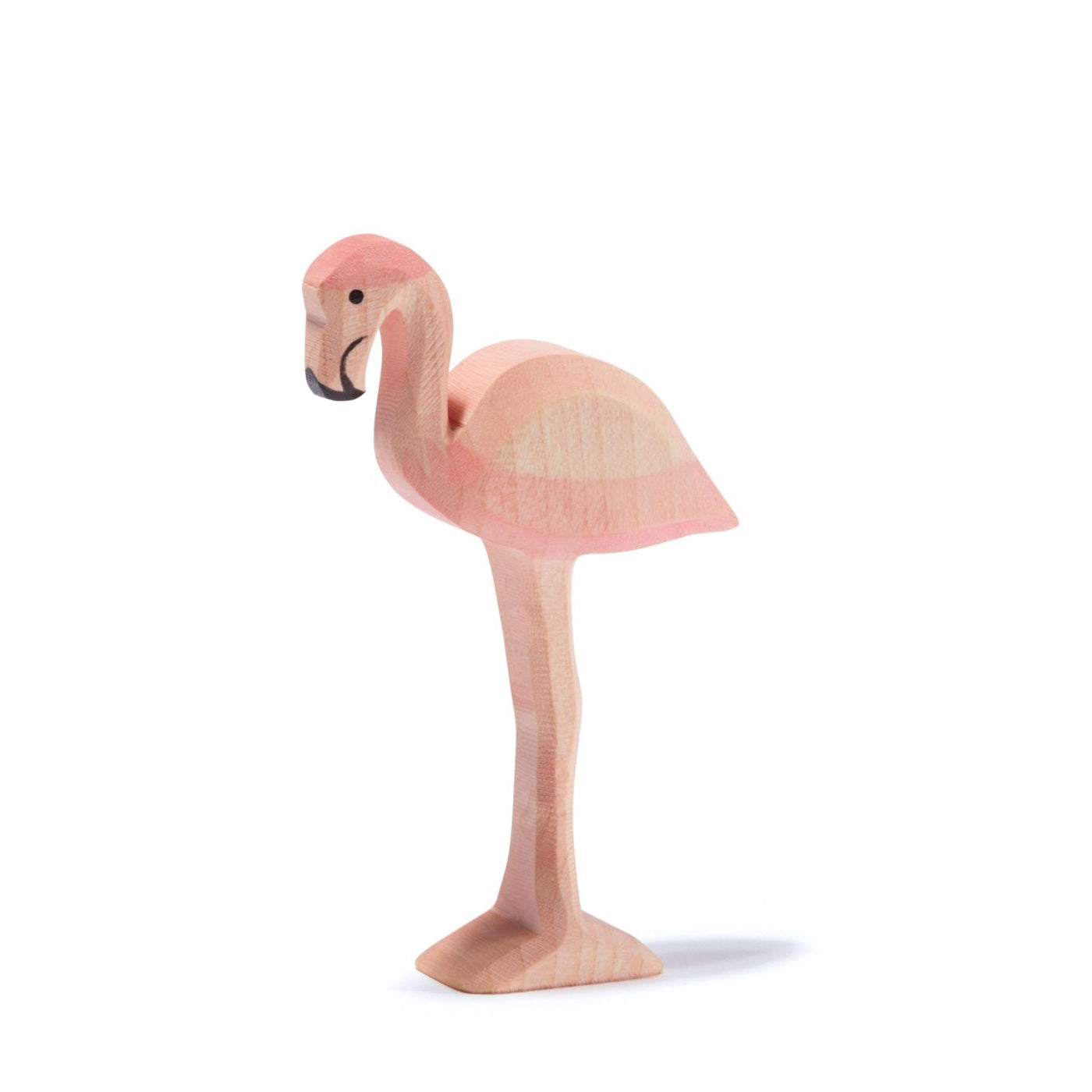 Ostheimer Flamingo | | Ostheimer | Little Acorn to Mighty Oaks