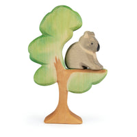 Ostheimer Eucalyptus | | Ostheimer | Little Acorn to Mighty Oaks