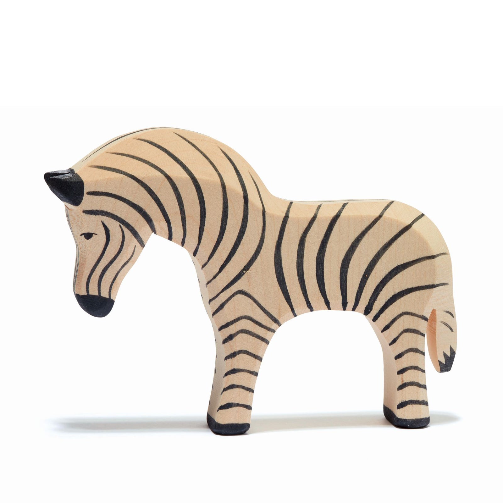 Ostheimer Zebra | | Ostheimer | Little Acorn to Mighty Oaks