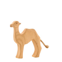 Ostheimer Small Camel | | Ostheimer | Little Acorn to Mighty Oaks