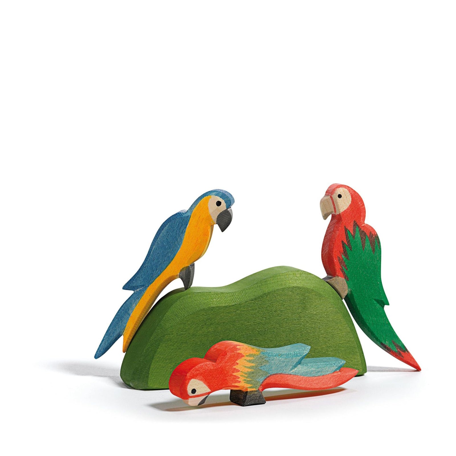 Ostheimer Parrot multicolour | | Ostheimer | Little Acorn to Mighty Oaks